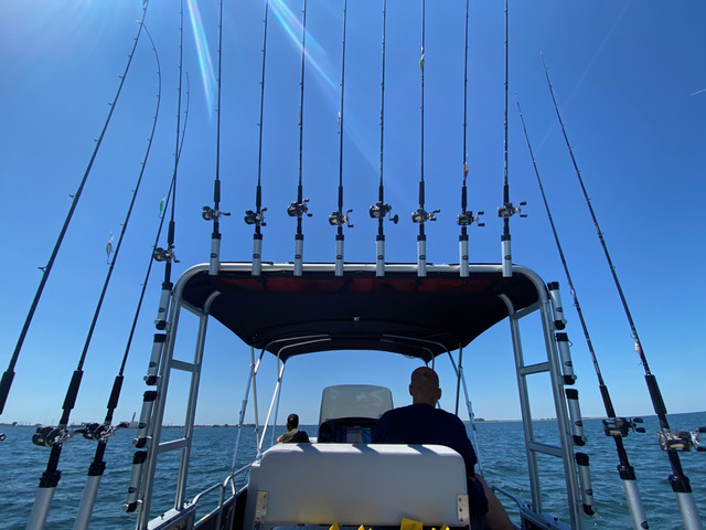 Saginaw Bay Walleye